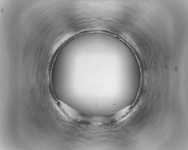 X0000088170789200706051115