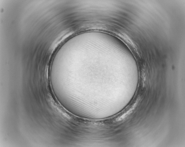 X0000088170790200706051115