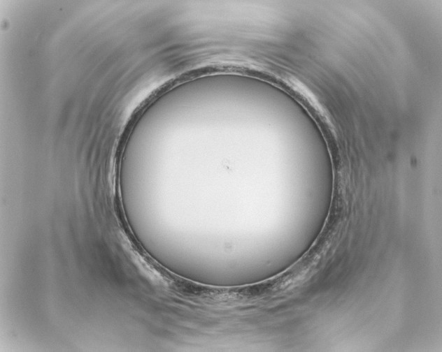 X0000088170791200706051115