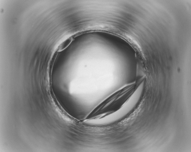 X0000088170792200706051115