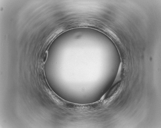 X0000088170793200706051115