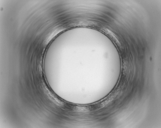 X0000088170794200706051115