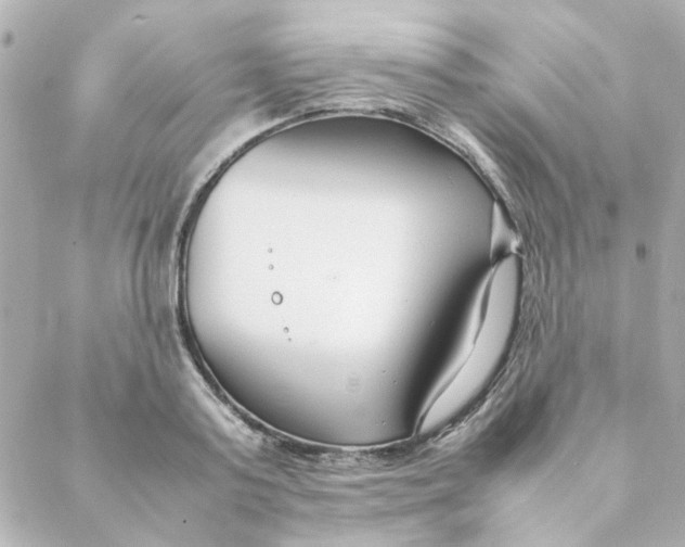 X0000088170795200706051115