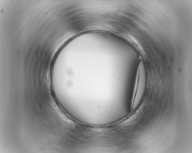 X0000088170796200706051115