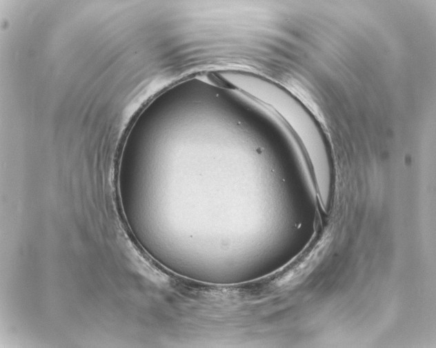 X0000088170797200706051115