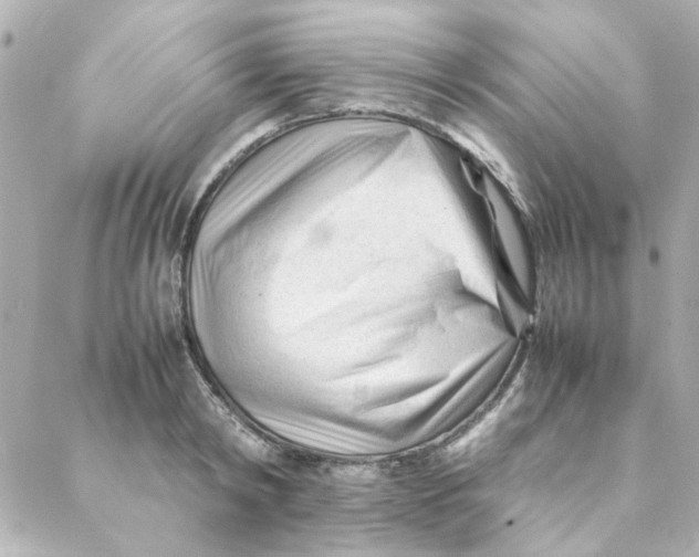 X0000088170798200706051115