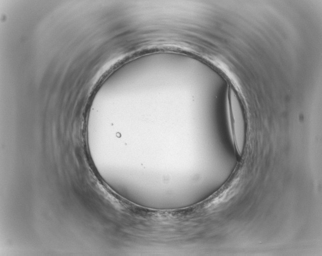 X0000088170799200706051115