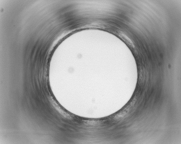 X0000088170800200706051115