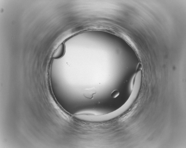 X0000088170803200706051115