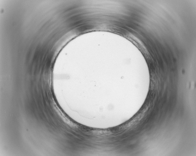 X0000088170804200706051115