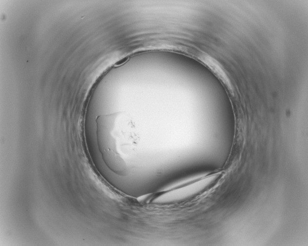 X0000088170805200706051115