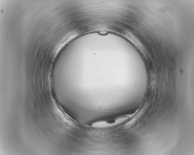 X0000088170806200706051115