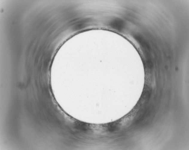 X0000088170807200706051115