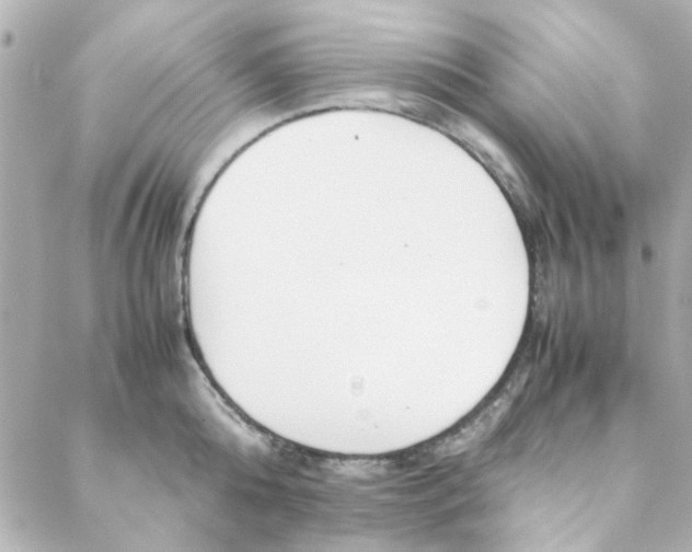 X0000088170808200706051115