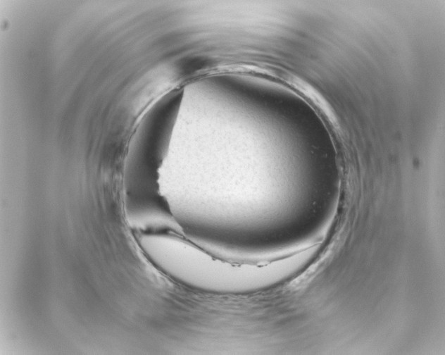 X0000088170809200706051115