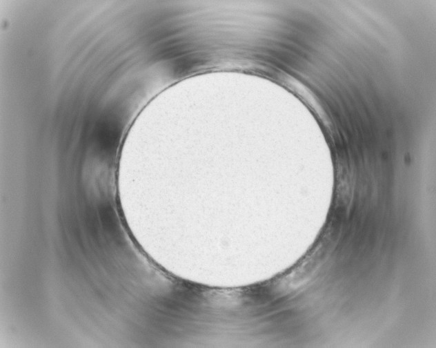 X0000088170810200706051115