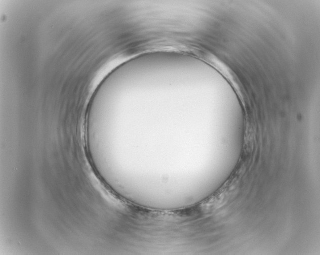 X0000088170811200706051115