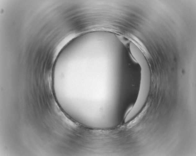 X0000088170812200706051115