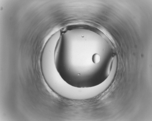 X0000088170813200706051115