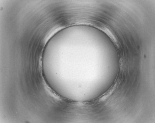 X0000088170814200706051115