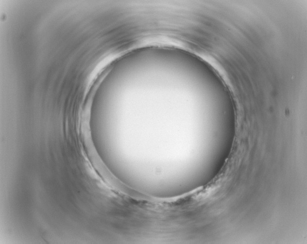 X0000088170815200706051115