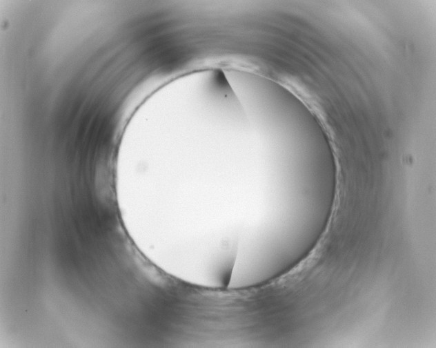 X0000088170816200706051115