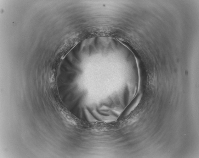 X0000088170818200706051114