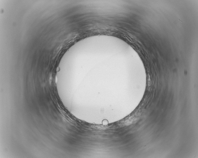 X0000088170820200706051114