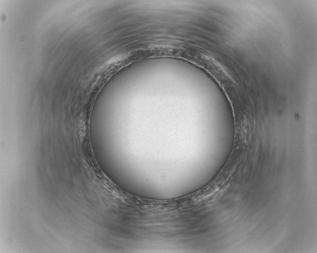 X0000088170821200706051114