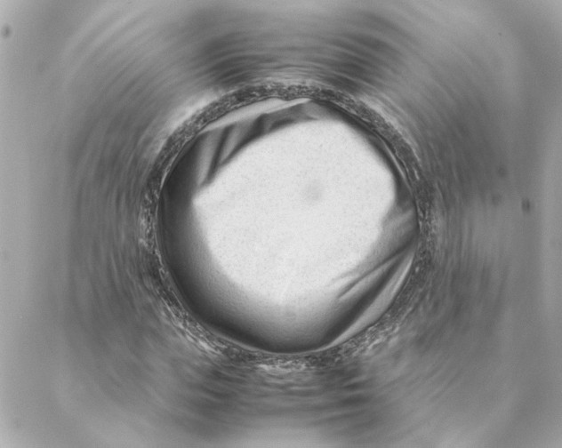 X0000088170823200706051114