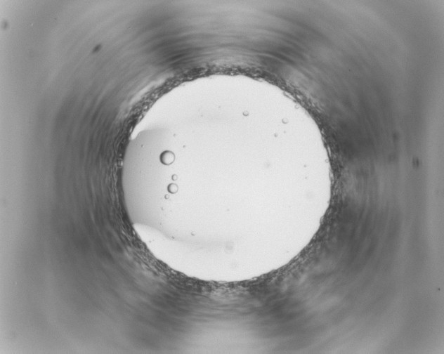 X0000088170824200706051114