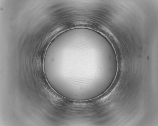 X0000088170825200706051114