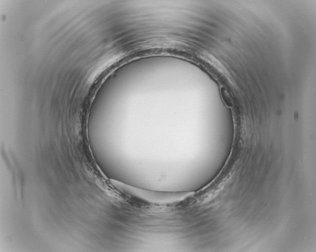 X0000088170826200706051114