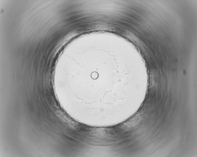 X0000088170828200706051114