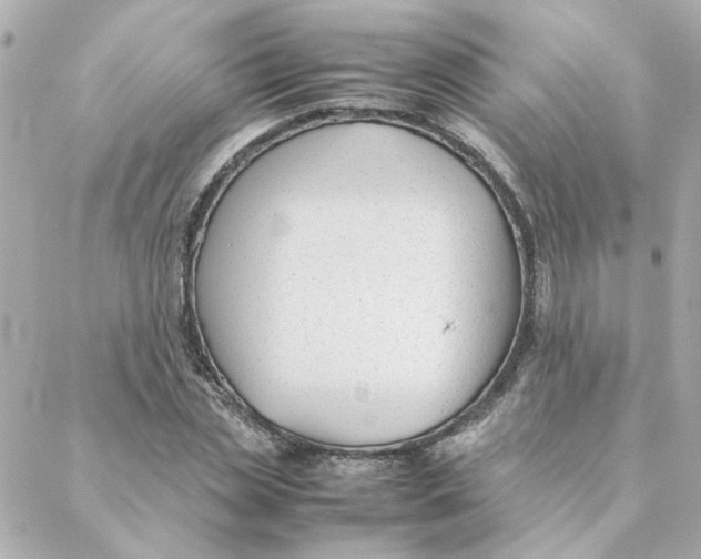 X0000088170829200706051114