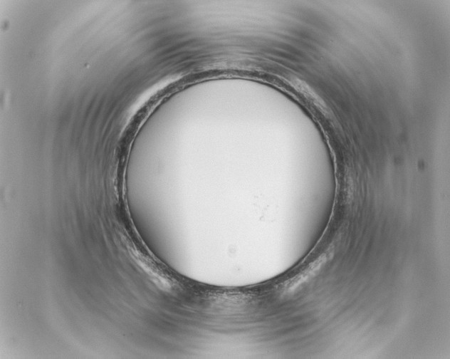 X0000088170830200706051114