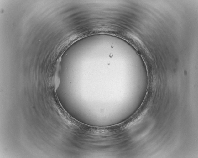 X0000088170833200706051114