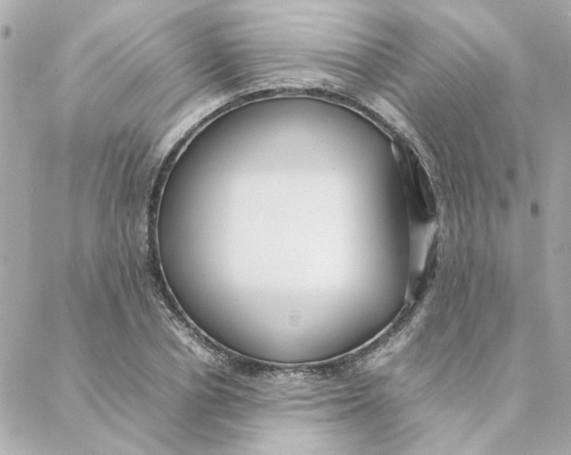 X0000088170834200706051114