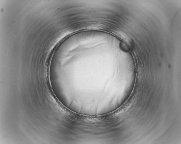 X0000088170835200706051114