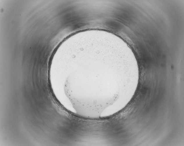 X0000088170836200706051114