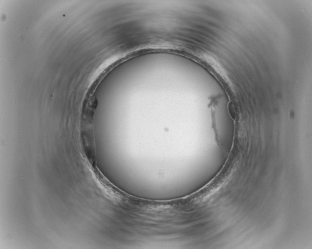 X0000088170837200706051114