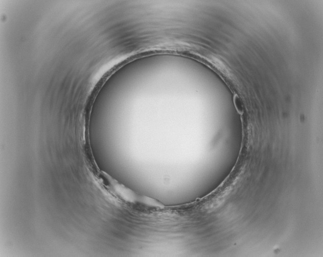 X0000088170838200706051114