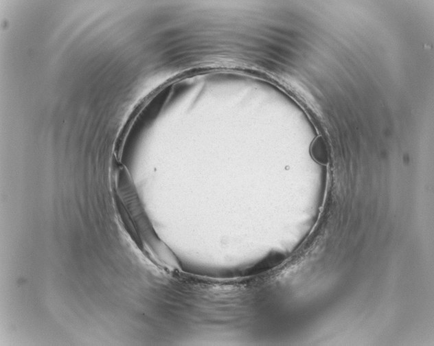 X0000088170839200706051114