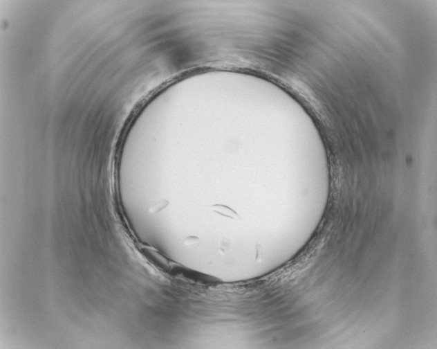 X0000088170840200706051114