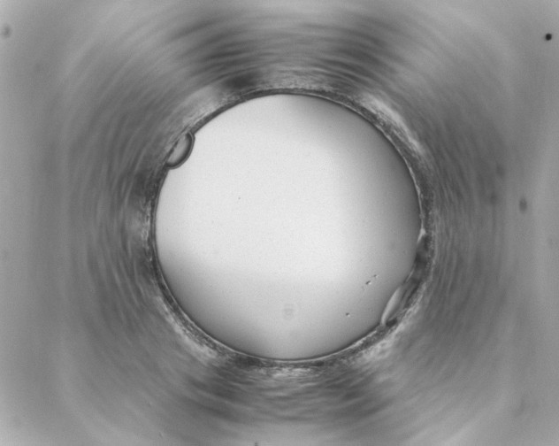 X0000088170841200706051114