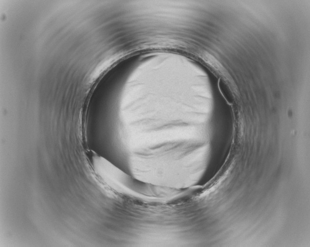 X0000088170842200706051114