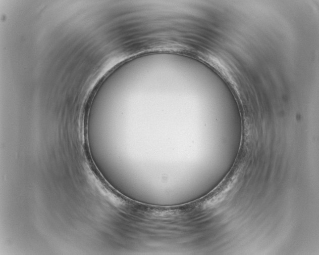 X0000088170843200706051114