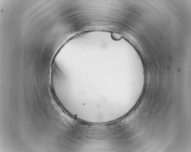 X0000088170844200706051114