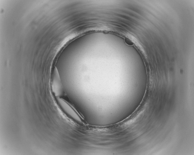 X0000088170845200706051114