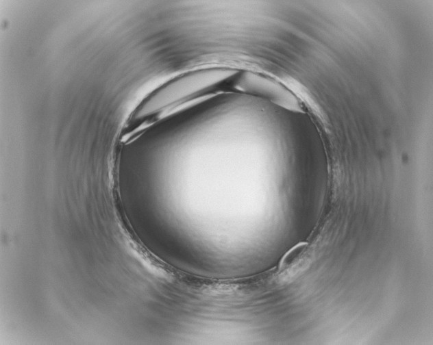 X0000088170846200706051114